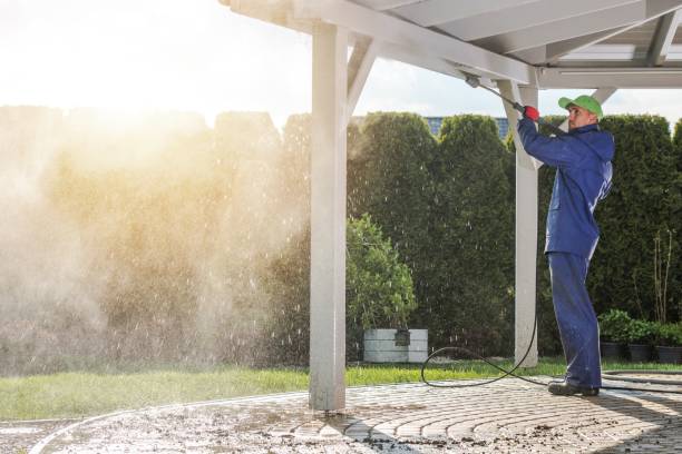 Best Graffiti Removal  in Port Salerno, FL